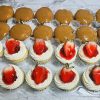 Plain Cupcakes